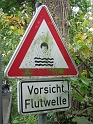 bild (40)